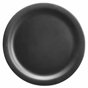 dinnerware plate