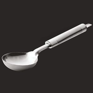 Serving Ladle (Dual Tone) 10inch