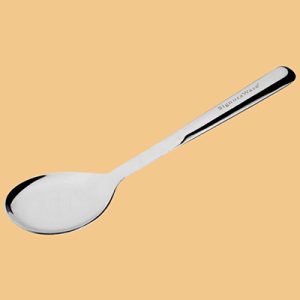 Signature Hollow Handle Serving Ladle (10 inches)