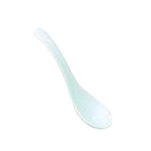 Porcelain Spoon